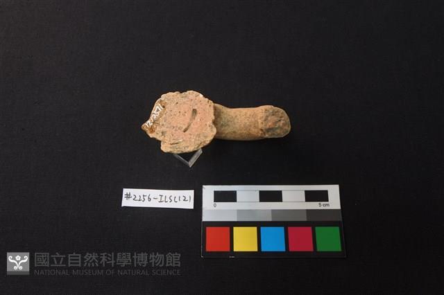 陶片藏品圖，第3張