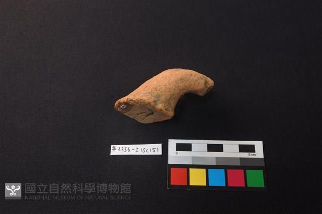 陶片藏品圖，第3張