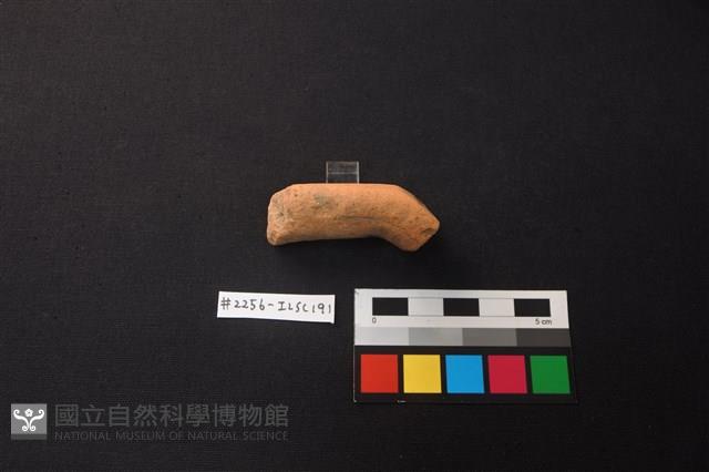 陶片藏品圖，第3張