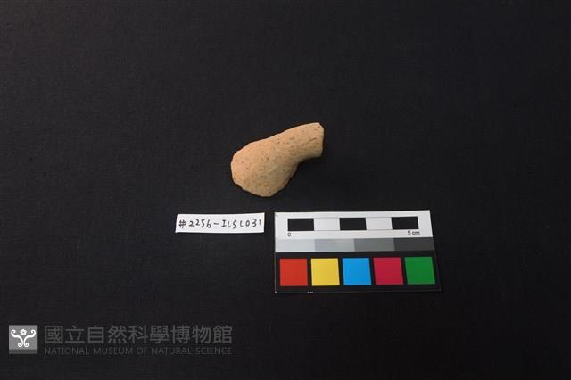 陶片藏品圖，第3張