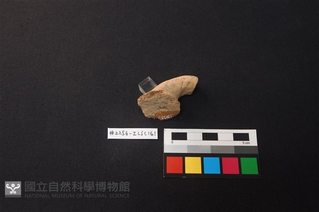 陶片藏品圖，第3張