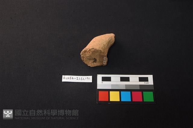 陶片藏品圖，第3張