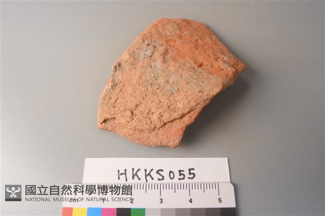 陶片藏品圖，第3張