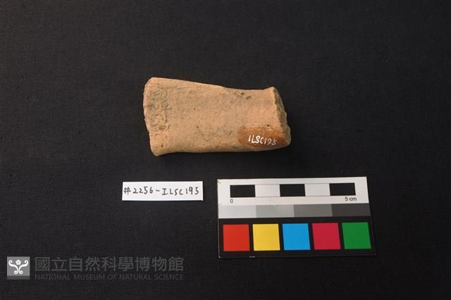 陶片藏品圖，第3張