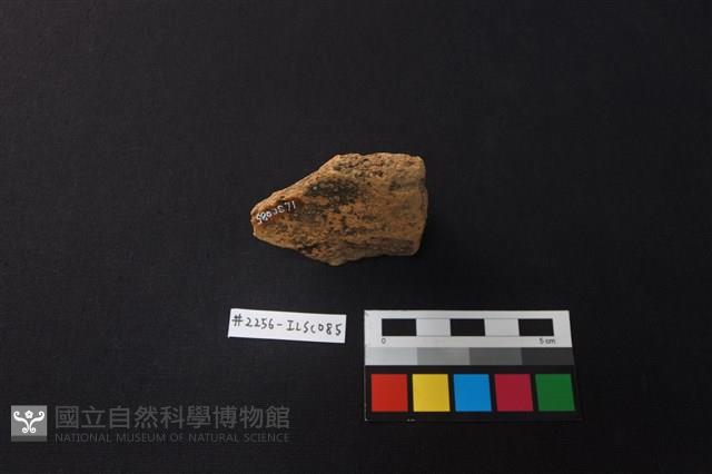 陶片藏品圖，第3張