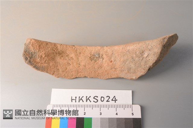 陶片藏品圖，第3張