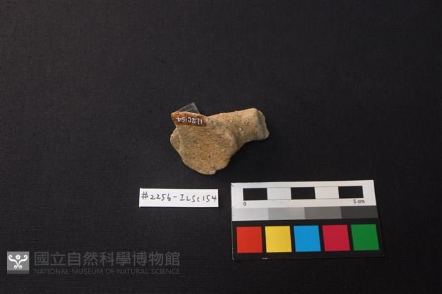 陶片藏品圖，第3張