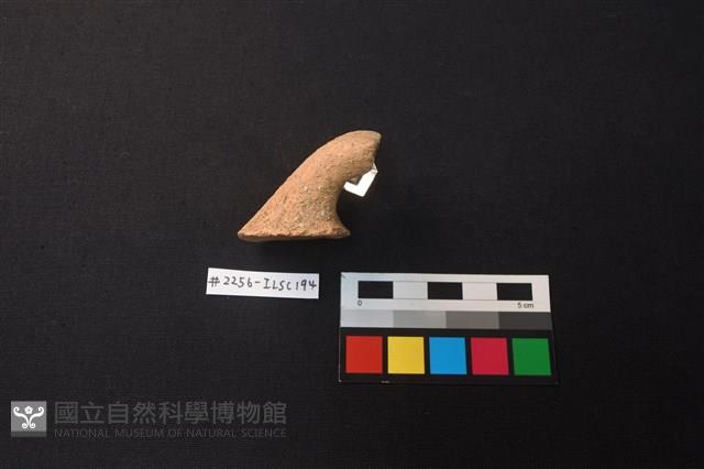 陶片藏品圖，第3張