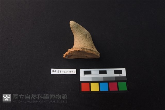 陶片藏品圖，第3張
