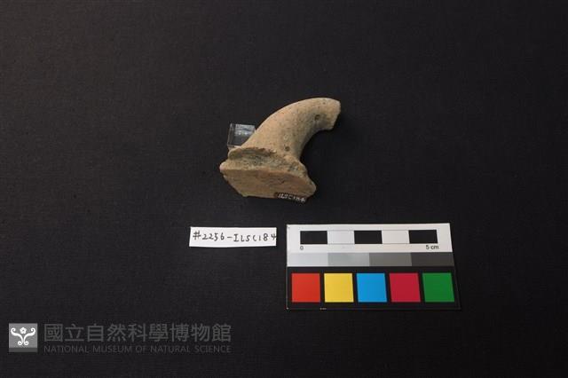 陶片藏品圖，第3張