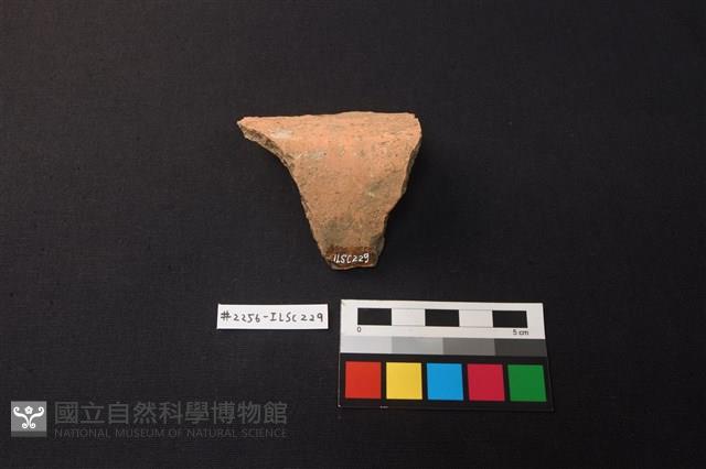 陶片藏品圖，第3張