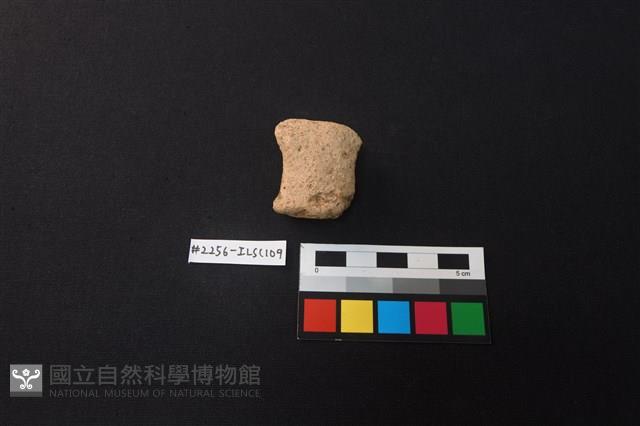 陶片藏品圖，第3張