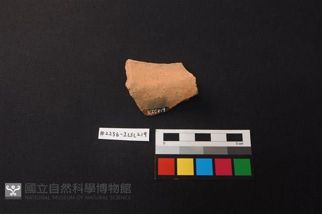 陶片藏品圖，第3張