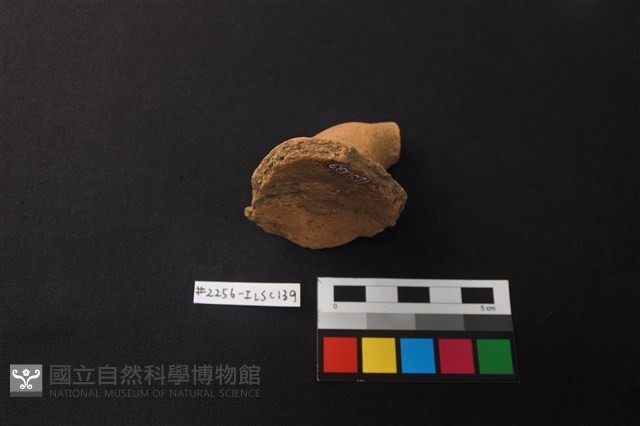 陶片藏品圖，第3張