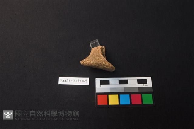 陶片藏品圖，第3張