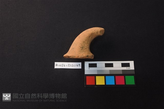 陶片藏品圖，第3張