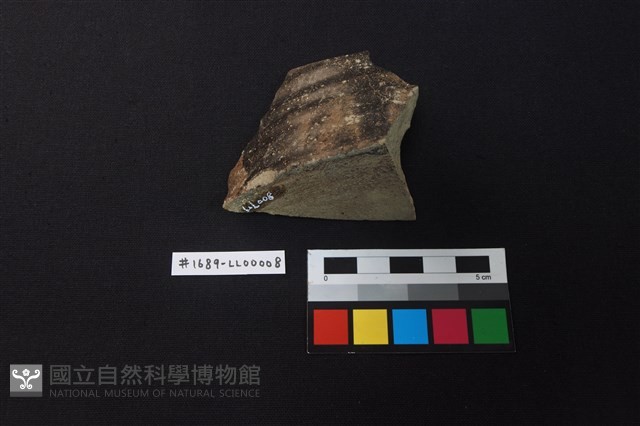 陶片藏品圖，第3張