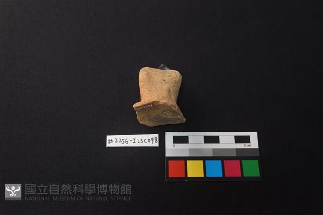 陶片藏品圖，第3張