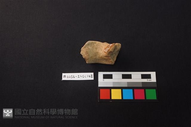 陶片藏品圖，第3張