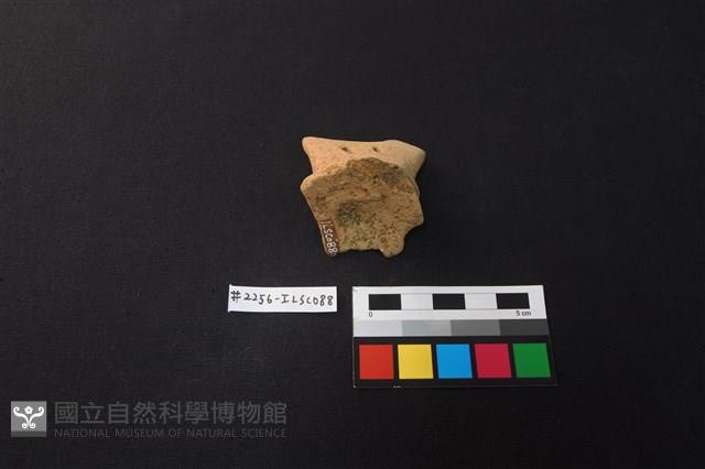 陶片藏品圖，第3張