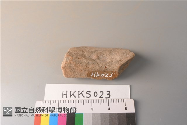 陶片藏品圖，第3張