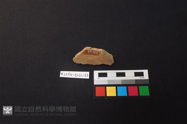 陶片藏品圖，第3張