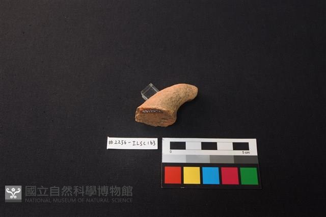 陶片藏品圖，第3張