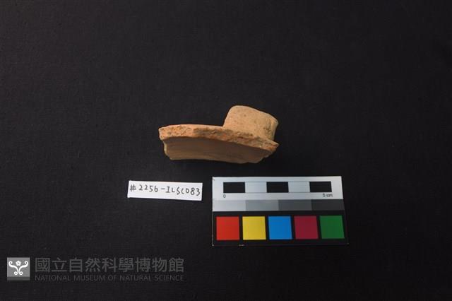 陶片藏品圖，第3張