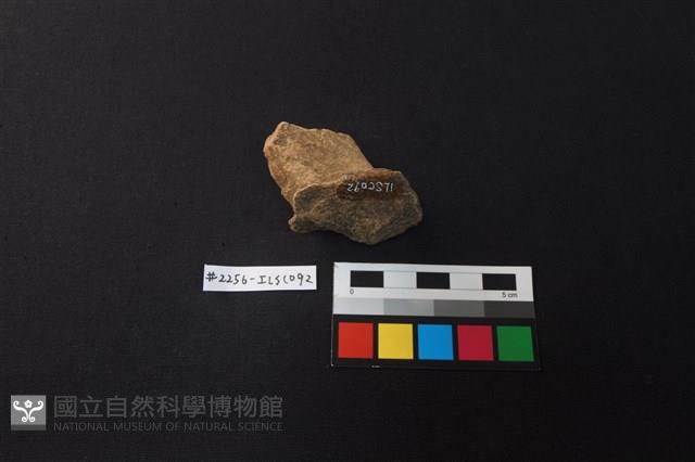 陶片藏品圖，第4張