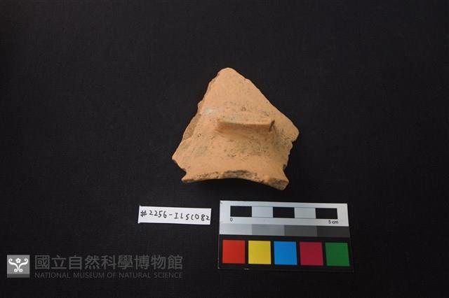 陶片藏品圖，第4張