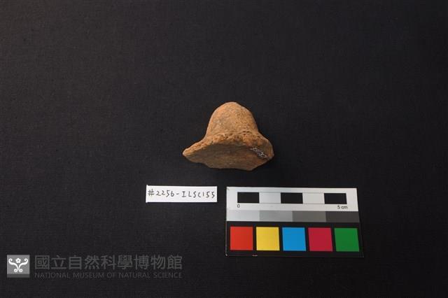 陶片藏品圖，第4張