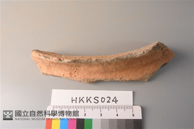 陶片藏品圖，第4張