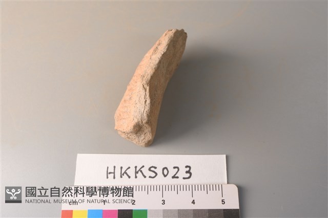 陶片藏品圖，第4張