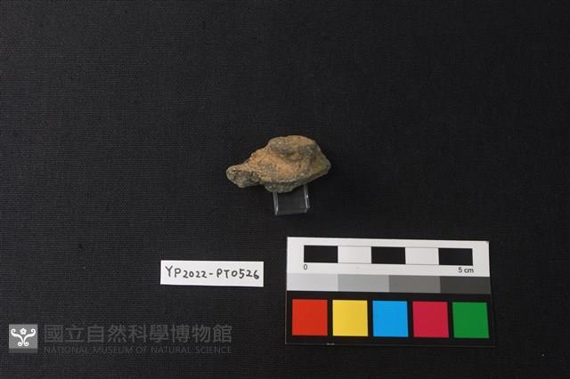 陶片藏品圖，第2張