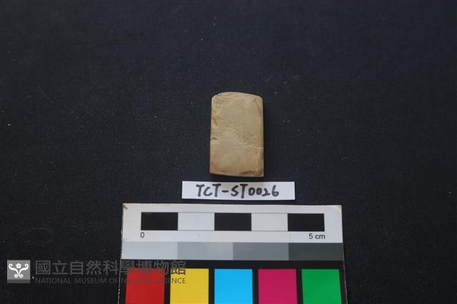 錛鑿形器藏品圖，第2張