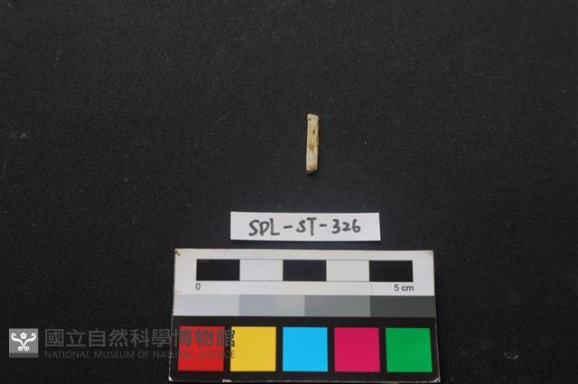 玉飾藏品圖，第2張