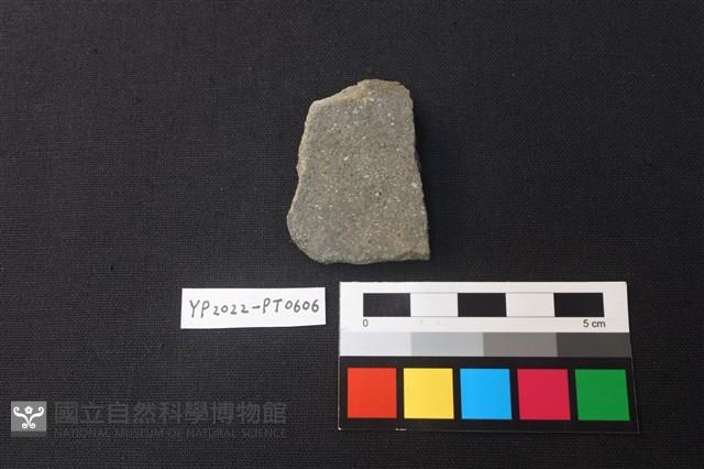 陶片藏品圖，第2張