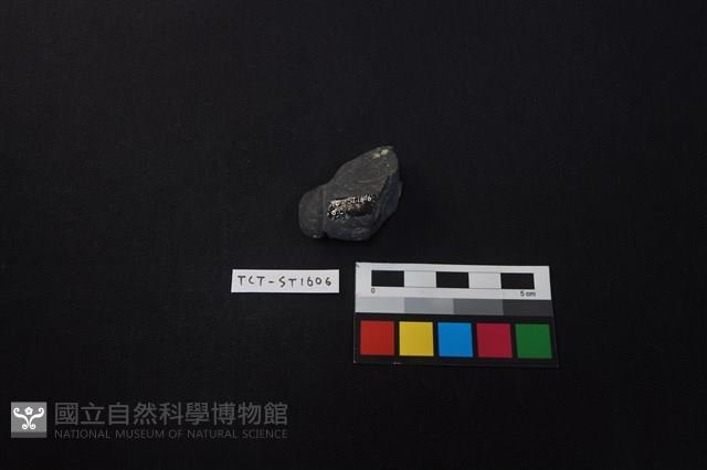 網墜藏品圖，第2張