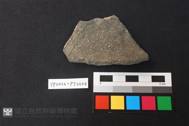 陶片藏品圖，第2張
