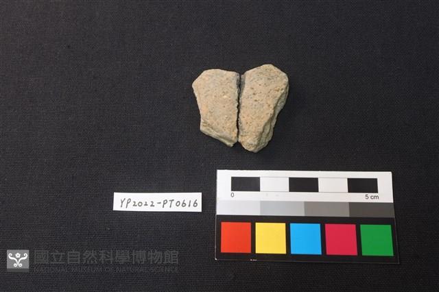 陶片藏品圖，第2張