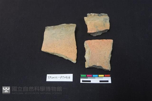 陶片藏品圖，第2張