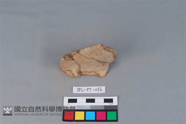 陶罐藏品圖，第2張