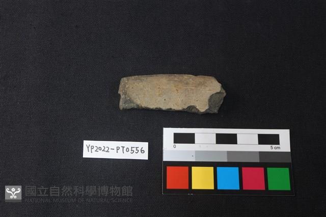 陶片藏品圖，第2張