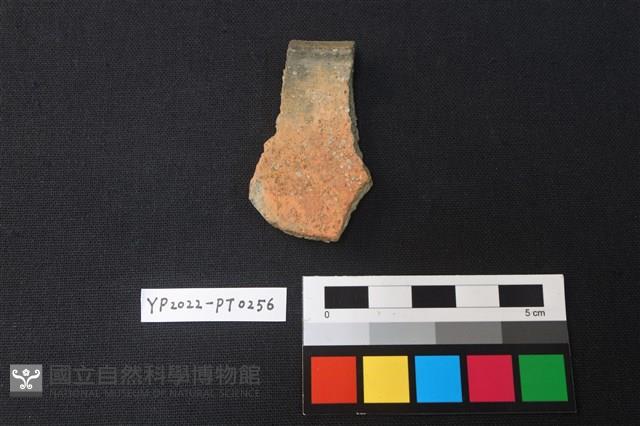 陶片藏品圖，第2張