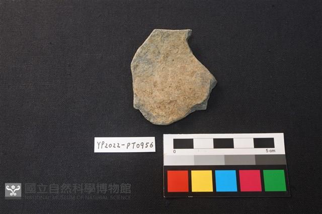 陶片藏品圖，第2張