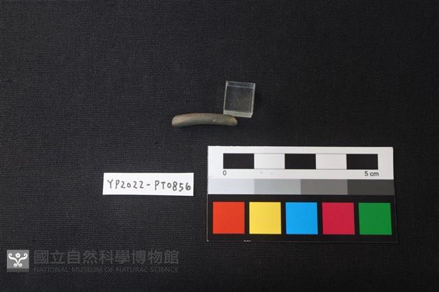陶環藏品圖，第2張