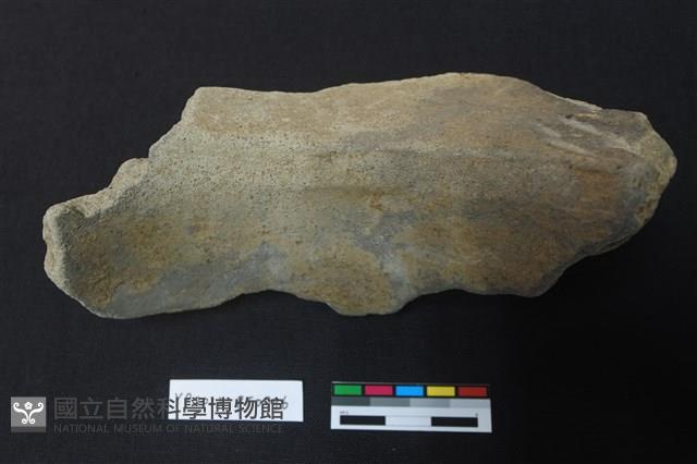 陶片藏品圖，第2張