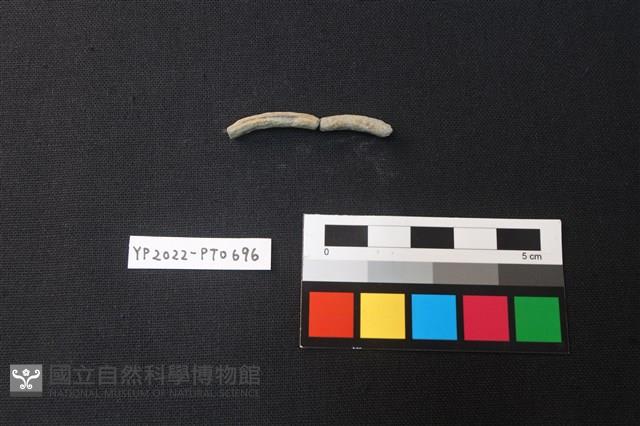 陶環藏品圖，第2張