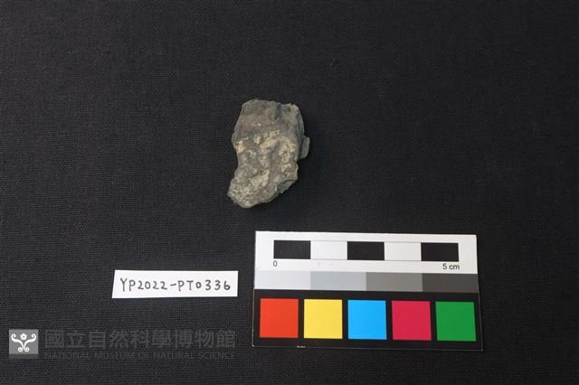 陶片藏品圖，第2張