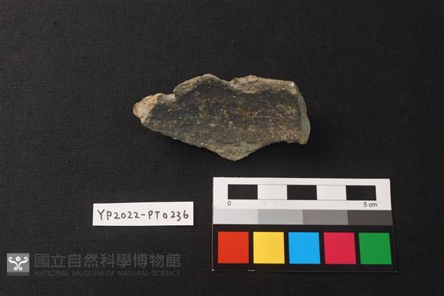 陶片藏品圖，第2張